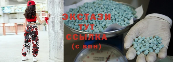 стаф Ельня
