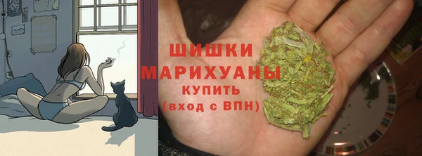 стаф Ельня