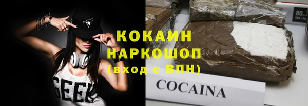 хмурый Дмитриев