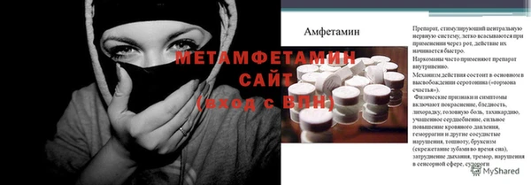 прущие грибы Елизово