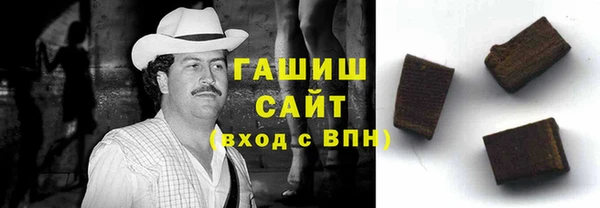 стаф Ельня