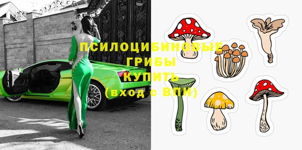 хмурый Дмитриев