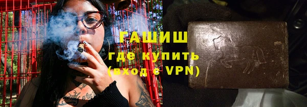 стаф Ельня
