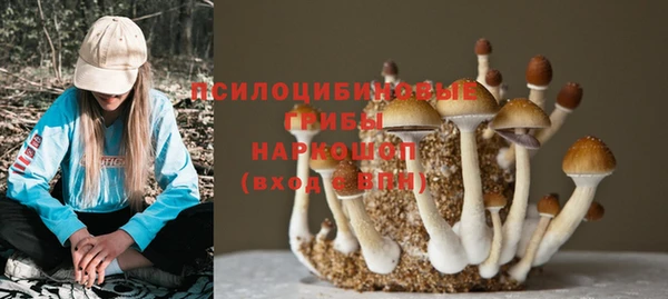 прущая мука Дмитров