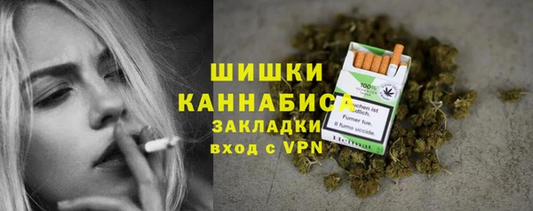 сатива Заводоуковск