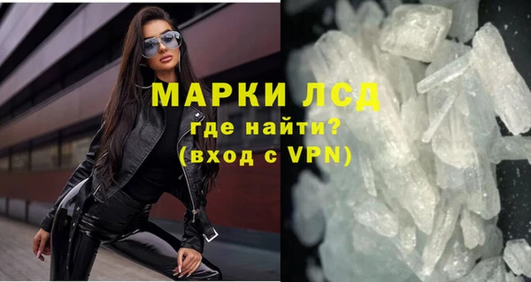 прущие грибы Елизово