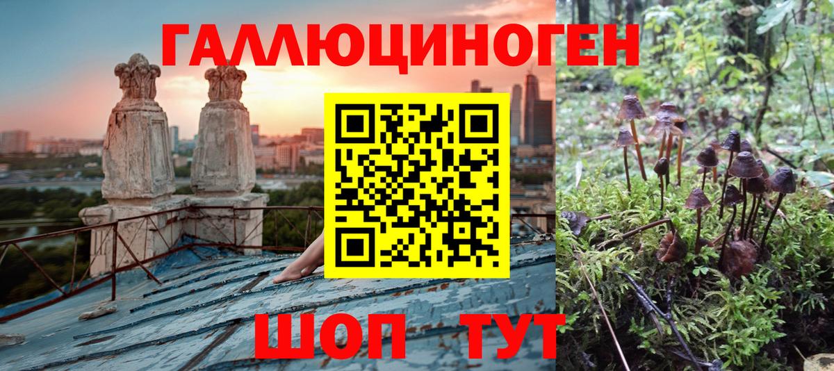Псилоцибиновые грибы Cubensis  Вход с VPN  Галлюциногенные грибы Psilocybe  Северобайкальск 